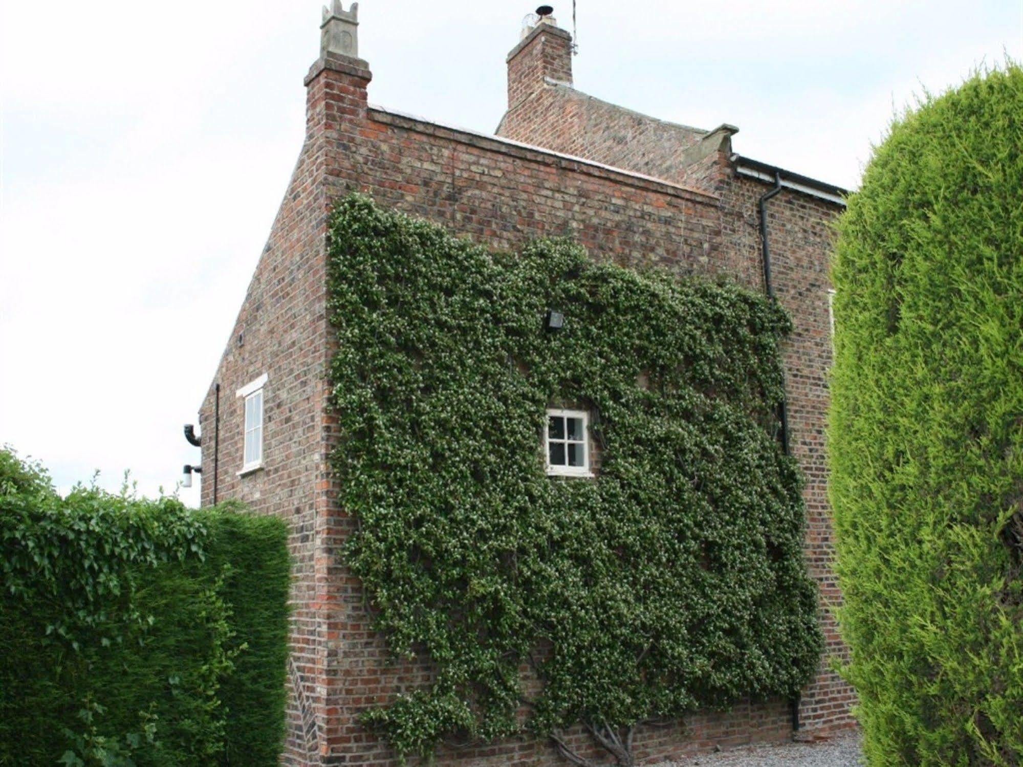 The Manor Guest House York Buitenkant foto